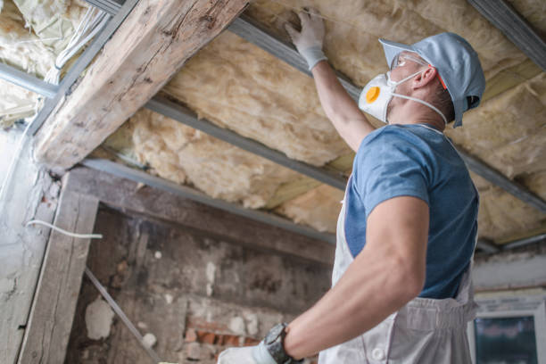  Freeburg, IL Insulation Contractor Pros